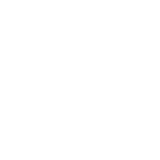 Terapeuta Psicanalista